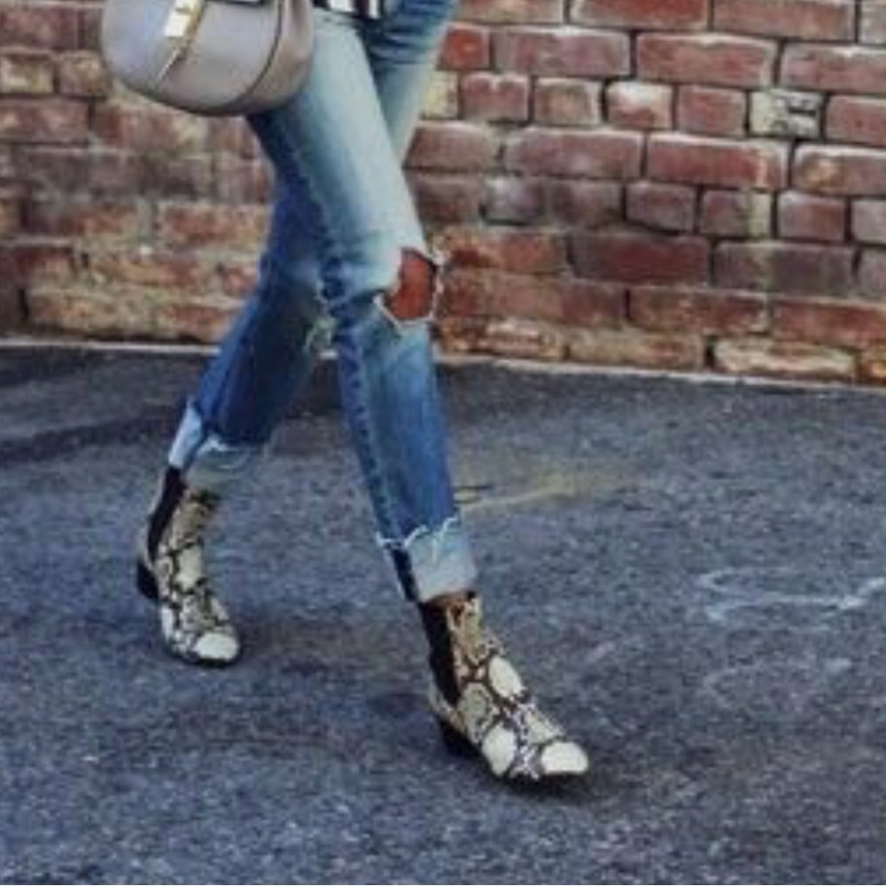 Isabel Marant Danae boots in snake print